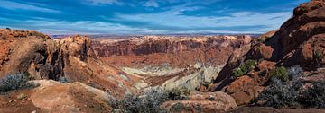 Panorama van het landschap in Canyonlands, Utah van Rietje Bulthuis