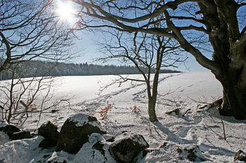 Winter landscape with sun on the Kreuzberg in the Rhön