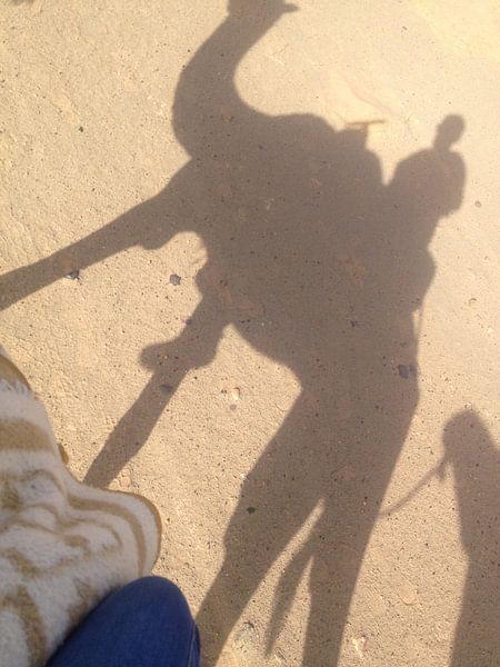 De schaduw van het rijden op een kameel von Tessel Robbertsen