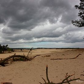 Landschap; Dreigende luchten in de duinen van Astrid Luyendijk