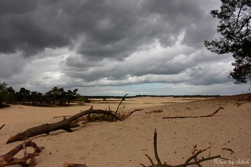 Landschaft; Bedrohlicher Himmel in den Dünen von Foto's door Astrid