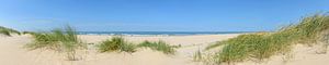 Panoramablick auf den Strand im Sommer an der Nordsee von Sjoerd van der Wal Fotografie