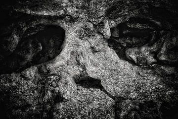Skull rock van Maickel Dedeken