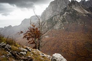 L'automne dans les montagnes d'Albanie sur Ellis Peeters