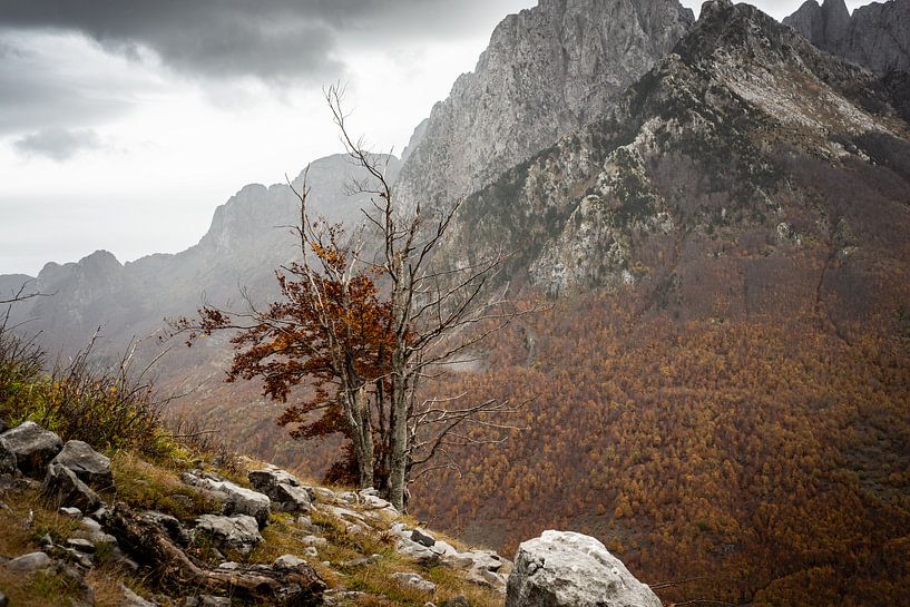 Herbst in den Bergen Albaniens von Ellis Peeters