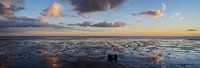 Ameland Wadden coast sunset
