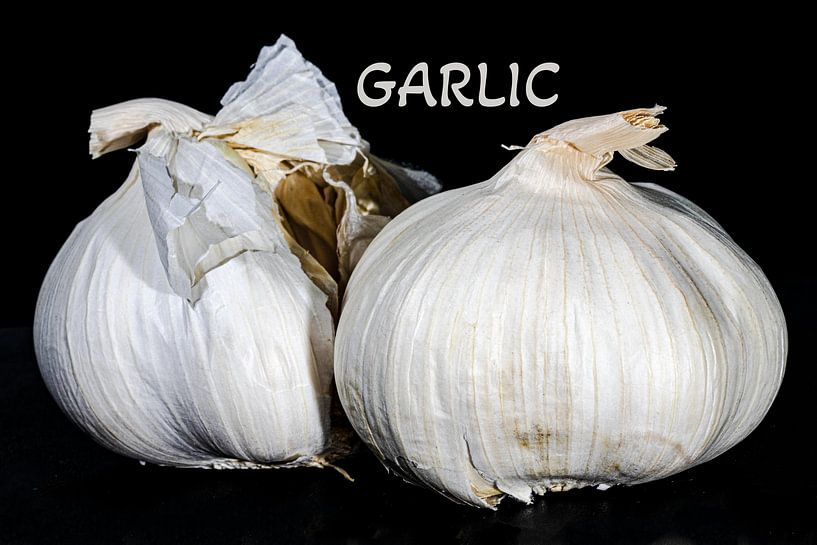 Garlic by Klaartje Majoor