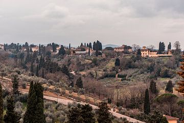 Landschaft in Florenz von Vera Konijn
