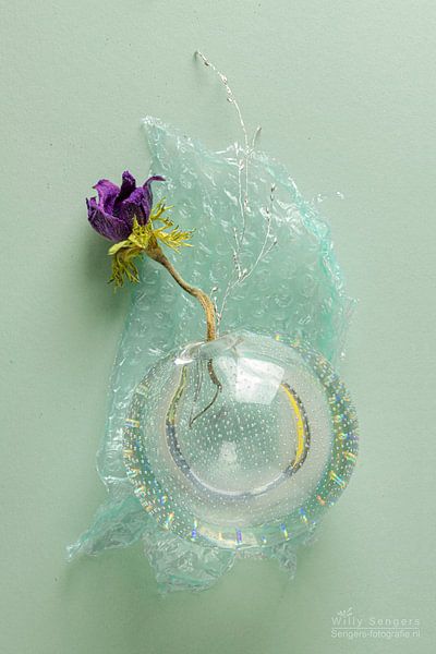 Nature morte avec boule de clous par Andries Copier par Willy Sengers