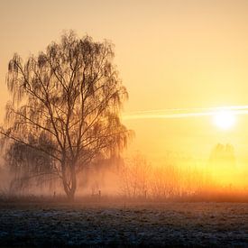 IJzige zonsopgang van Nils Steiner