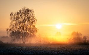 Frostiger Sonnenaufgang