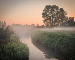 Mistige ochtend aan de Heulebeek in het Domein Bergelen
