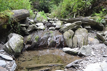 Bach im Wald bei Winterberg