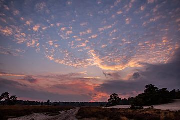 Farben des Sonnenuntergangs 4 - Loonse en Drunense Duinen von Deborah de Meijer