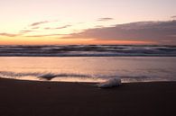 Zonsondergang aan de kust van Mkview Fotografie thumbnail