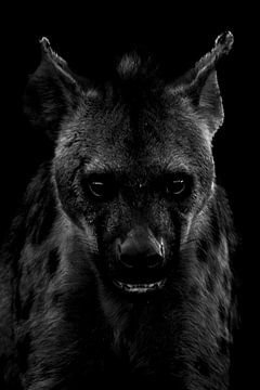 Gevlekte Hyena van Aniek - Through Blue eyes