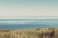 Texel Sea
