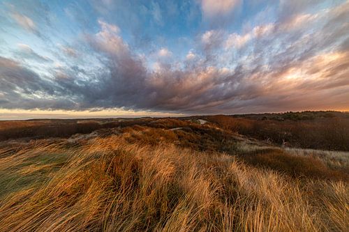 Ochtend in de duinen