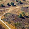 De Hoorneboegse Heide vanuit de lucht [04] van Frank Maters