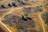 De Hoorneboegse Heide vanuit de lucht [04]