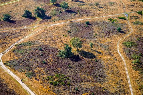 De Hoorneboegse Heide vanuit de lucht [04] van Frank Maters