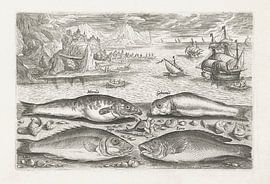 Vier vissen op het strand van Adriaen Collaert, after 1595 - 1618