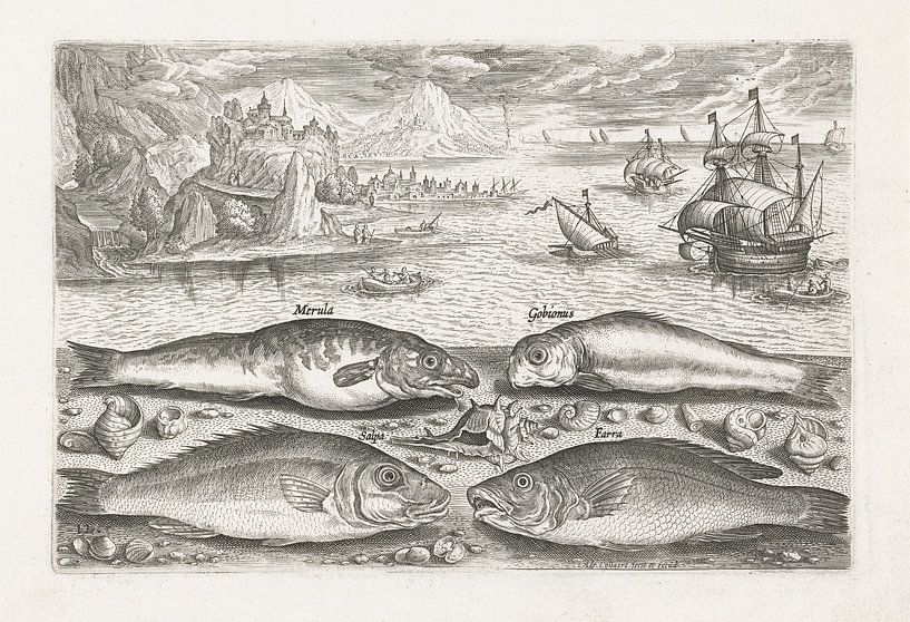 Four fish on the beach by Adriaen Collaert, after 1595 - 1618 by Gave Meesters