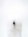 Weißer Pudel von Janine Bekker Photography Miniaturansicht