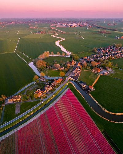 Tulpenvelden en dorp Schettens bij zonsondergang