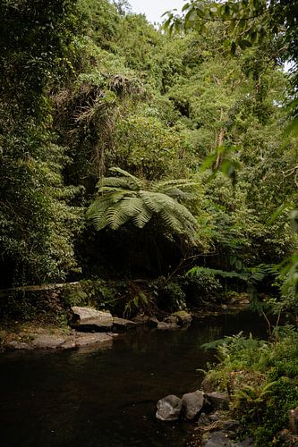 Eine Oase der Ruhe im Dschungel von Bali