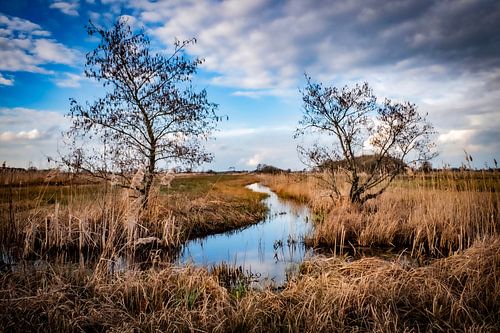Die Weerribben (Wanneperveen)