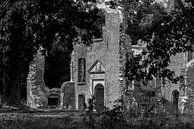 Ruine Schloss Bleijenbeek in Schwarz-Weiß von Ans Bastiaanssen Miniaturansicht