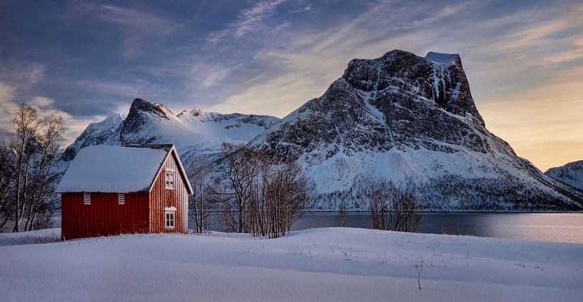 Cabane rouge dans la neige à Steinfjorden avec des montagnes gelées en arrière-plan, Senja, Norvège par Wojciech Kruczynski