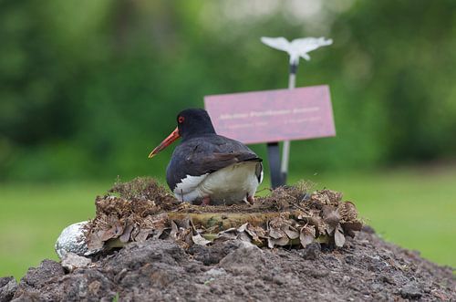 Een levend grafornament