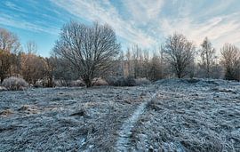 Sweden landscape 203 by Geertjan Plooijer