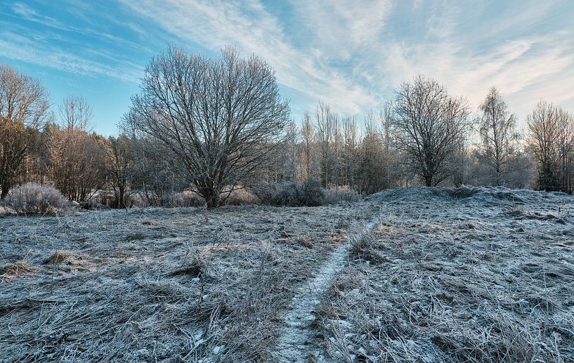 Zweden landschap 203 van Geertjan Plooijer