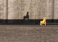 Lente 