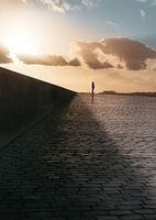 Antwerp Quays