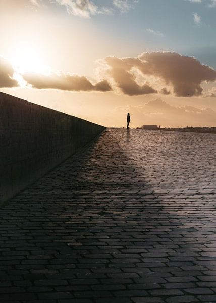 Antwerp Quays van Matthijs Van Mierlo