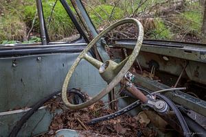 Bœuf en voiture au cimetière en forêt de Ryd, Suède