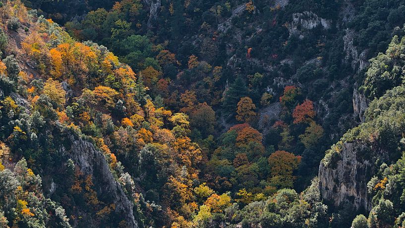 Gorges de la Nesque en automne par Timon Schneider