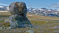 Norwegen, Norway, Valdresflye