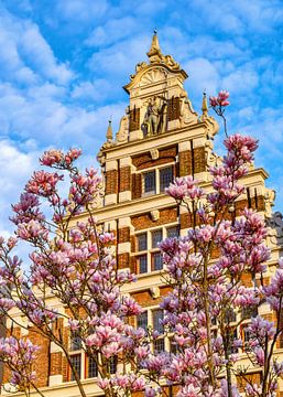Voorjaar in Deventer, Nederland van Adelheid Smitt