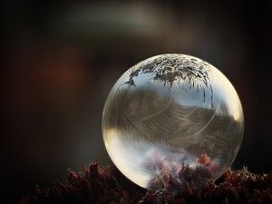 Bulle congelée n°2