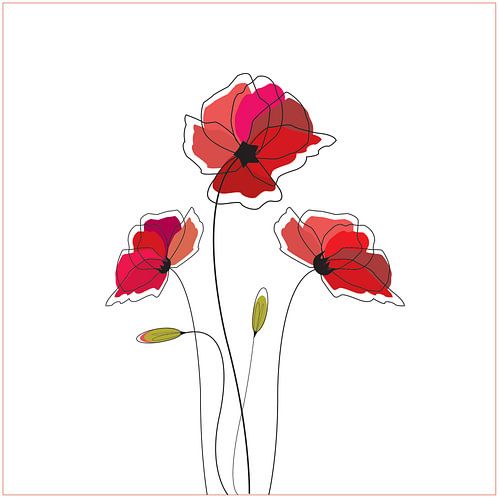 Coquelicot Coquelicot sur l'illustration blanche dessin art rose sauvage