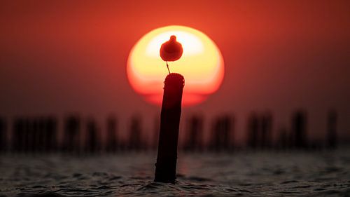 Zonsondergang Waddenzee met een vogel op een paal :)