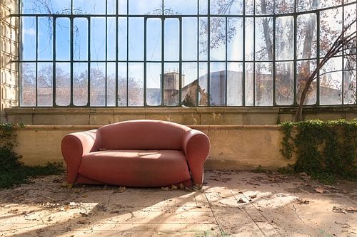 La serre abandonnée.