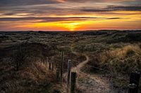 Sonnenaufgang in den Dünen von Ameland