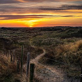 Sonnenaufgang in den Dünen von Ameland von Martien Hoogebeen Fotografie