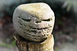 E.T  the  Extra-Terrestrial by Tinus Tibbe